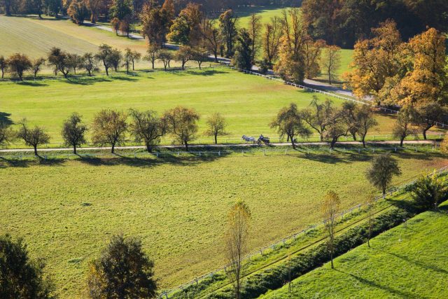Jednou z nadějí Pardubického kraje je hřebčín v Kladrubech nad Labem,  který byl loni zapsán na seznam UNESCO. I tam ale chybí ubytovací kapacity | foto: Národní hřebčín Kladruby nad Labem