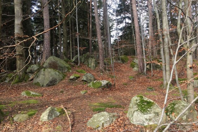 Těmto kamenům v lesích se říká kazatelny a používali se i třeba na výrobu mlýnských kamenů | foto: Šárka Rusnáková,  Český rozhlas