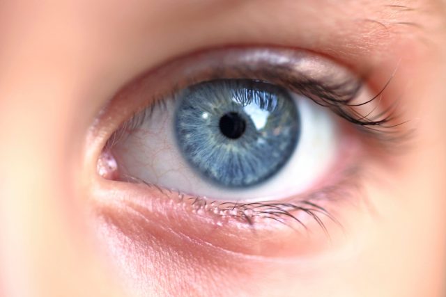 Oči jsou považovány za nejdůležitější smyslový orgán | foto: Profimedia