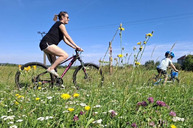 Planetární stezka v Proseči vás zavede do malebné krajiny i hlubin vesmíru | foto: Tereza Brázdová,  Český rozhlas
