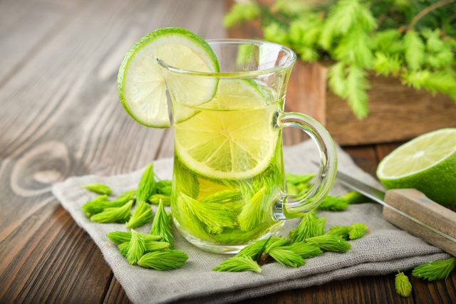 Limonáda z výhonků jehličí | foto: Shutterstock