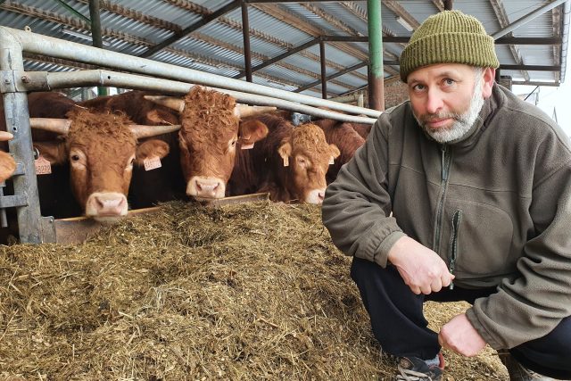 Farmář Martin Novotný chová masné plemeno Limousine | foto: Šárka Kuchtová,  Český rozhlas