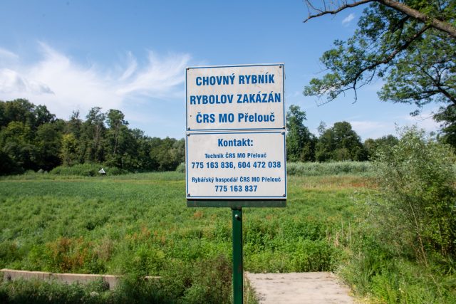 Zanedbaný rybník v zámeckém parku v Heřmanově Městci je několik let bez vody. Město ho koupí od svazu rybářů. Chce ho s pomocí dotací obnovit | foto: Josef Vostárek,  ČTK