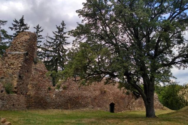 Zřícenina hradu Žumberk | foto: Šárka Kuchtová,  Český rozhlas