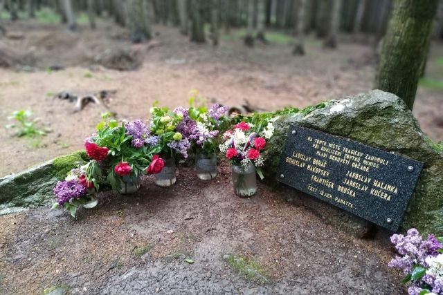 Pomník nad Borovou připomíná tragický výbuch na konci války,  při kterém zahynulo 5 místních občanů | foto: Šárka Kuchtová,  Český rozhlas