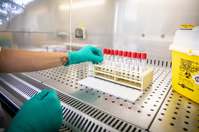 Laboratoř zpracovává testy na koronavirus  (ilustrační foto) | foto: Profimedia
