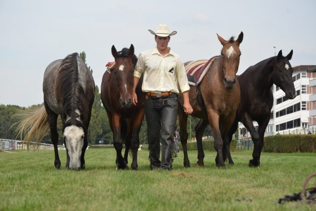 Vrcholem programu bude vystoupení „zaříkávače koní“ Miloslava Simandla,  který do Pardubic přiveze šest koní. S nimi pracuje najednou a v naprosté volnosti | foto: Dostihový spolek