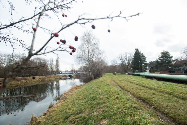 Část levého břehu Chrudimky by mohla sloužit jako součást propojky s Labskou ulicí v Pardubicích | foto: Josef Vostárek,  ČTK