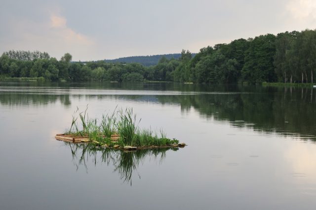 Uměle vytvořený plovoucí ostrůvek na Rosničce pomáhá čistit vodu | foto: Tereza Brázdová,  Český rozhlas