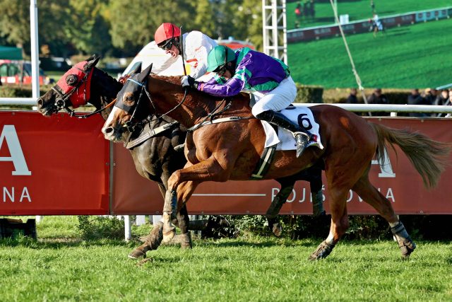 Ve stopadesátileté historii se to stalo poprvé. Velká pardubická měla tentokrát hned dva vítěze. 134. ročník slavného dostihu skončil tzv. „mrtvým doběhem“ osmiletých koní Sexy Lorda a Godfreyho | foto: Petr Guth,  ČTK